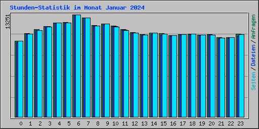 Stunden-Statistik im Monat Januar 2024