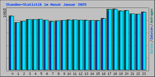 Stunden-Statistik im Monat Januar 2025
