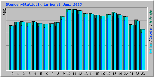 Stunden-Statistik im Monat Juni 2025