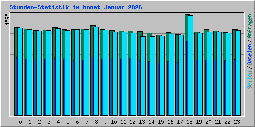 Stunden-Statistik im Monat Januar 2026